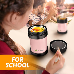 Small Thermos Food Jar for Women, Men & Kids - Stainless Steel Thermo Lunch Box- Pink